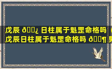 戊辰 🌿 日柱属于魁罡命格吗（戊辰日柱属于魁罡命格吗 🐶 男）